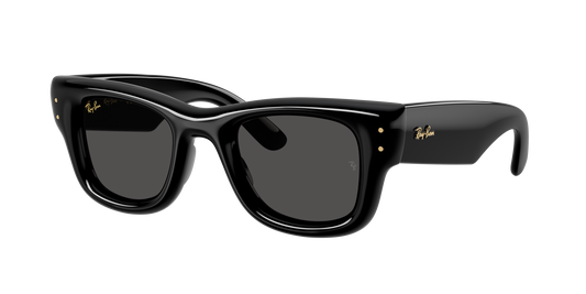 Lunettes de soleil Ray Ban Puffer NOIR Réf 22504