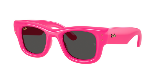 Lunettes de soleil Ray Ban Puffer ROSE Réf 22498